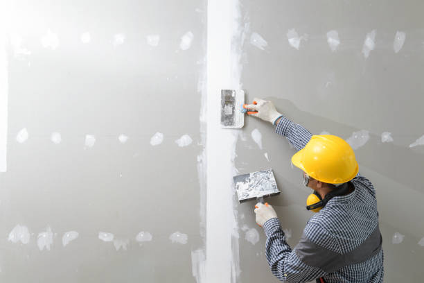 Mold Remediation for Vacation Homes in Oakmont, PA